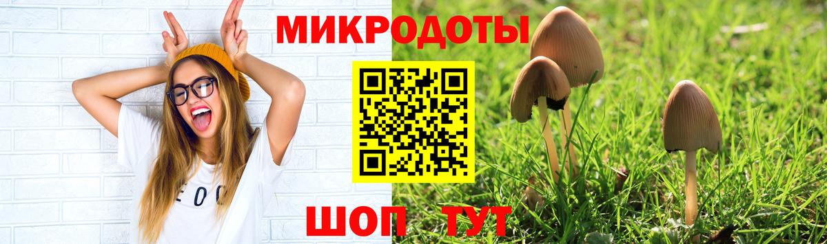 Псилоцибиновые грибы Psilocybine cubensis  Вход с VPN  сколько стоит  Михайловка 